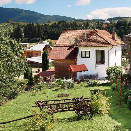 Pensiunea Colt De Munte Guest house 3*