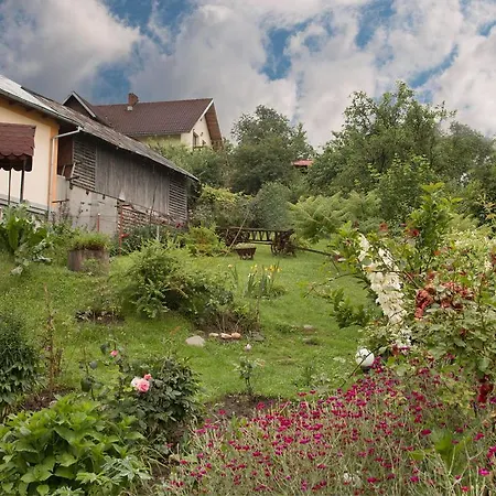 Pensiunea Colt De Munte Guest house 3*