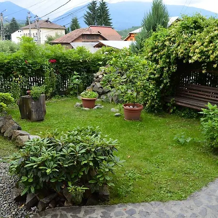 Guest house Pensiunea Colt De Munte 3*