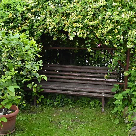 Pensiunea Colt De Munte 3* Корбени