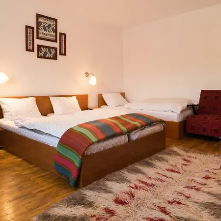 Pensiunea Colt De Munte 3*